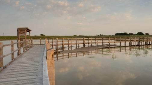 Wooden boardwalks at Sandilands Nature Reserve.